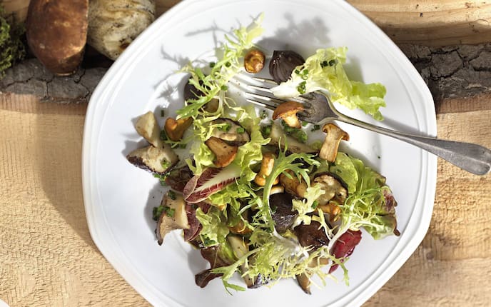 Salat, Pilze, Schalotten, Rezept