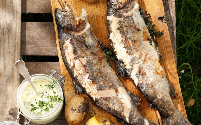 Steckerlfisch, Stockfisch, Rezept, Sauce