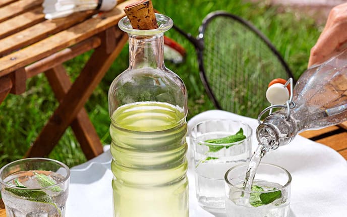 Kräutersirup für Limonade, Flasche, Korken, Gläser, Serviette, Gartenmöbel, Gras, Federball