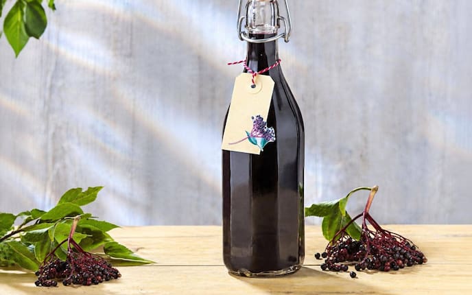 Selbstgemachter Hollerbeerensirup in einer Bügelverschlussflasche mit weißem Keramikverschluss und rotem Garn. Ein Kraftpapier-Anhänger mit Hollerbeeren-Illustration hängt am Flaschenhals. Links und rechts liegen frische schwarze Hollerbeeren-Rispen mit Blättern auf einem hellen Holztisch.