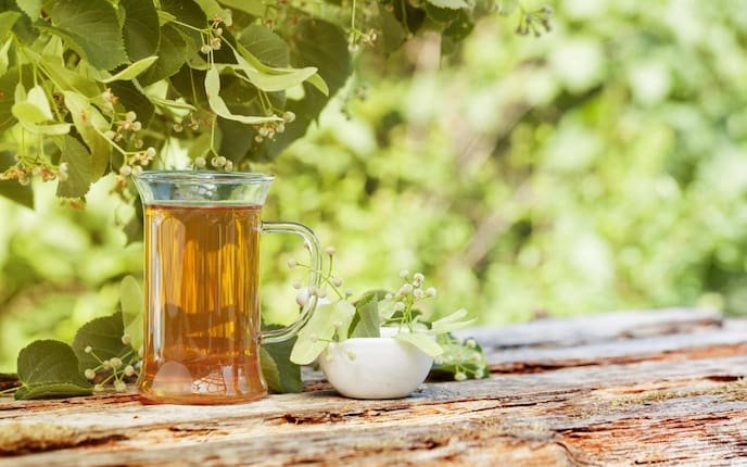 Lindenblüten, Eisteee, Tee, Limonade, Lindenblüten-Eistee, Getränk, trinken, Servus Rezept