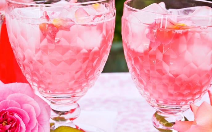 Rosen, Gläser, Eiswürfel, Limonade, Getränk, Rosenlimonade, Servus Rezept