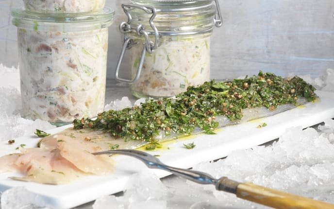 Fisch, Saibling, gebeizter Saibling, Kräuter, Würze, einlegen, Vorspeise, Servus Rezept