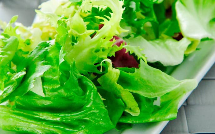 Endiviensalat, Vorspeise, Beilage, Salat, Servus Rezept