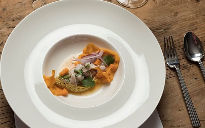 Süßkartoffel, Zwiebel, Mais, Fisch, Vorspeise, Servus Rezept