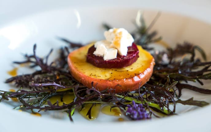 Apfel, Rote Rüben, Ricotta, Balsamico, Olivenöl, Teller, Rucola
