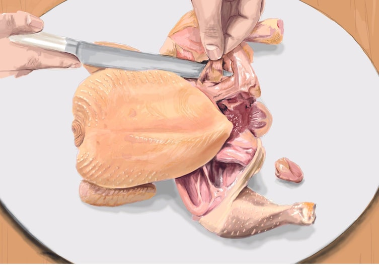 Illustration, tranchieren rohen Huhn, Austern, Hühnerfleisch