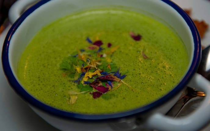 Grüne Suppe, Cremesuppe, Blüten, Sauerampfer-Spinat-Suppe, Suppe, Vorspeise, Servus Rezept