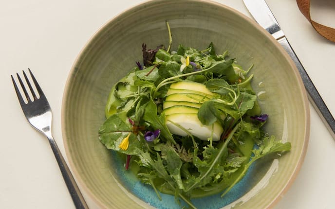 Grüner Salat, Rucola, Frischkäse, Zucchinischeiben, Vorspeise, Salat