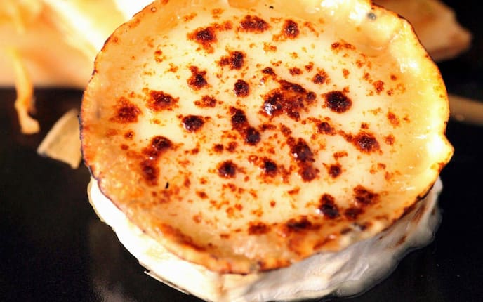 Gebackener Ziegenkäse, Weichkäse, gegrillt