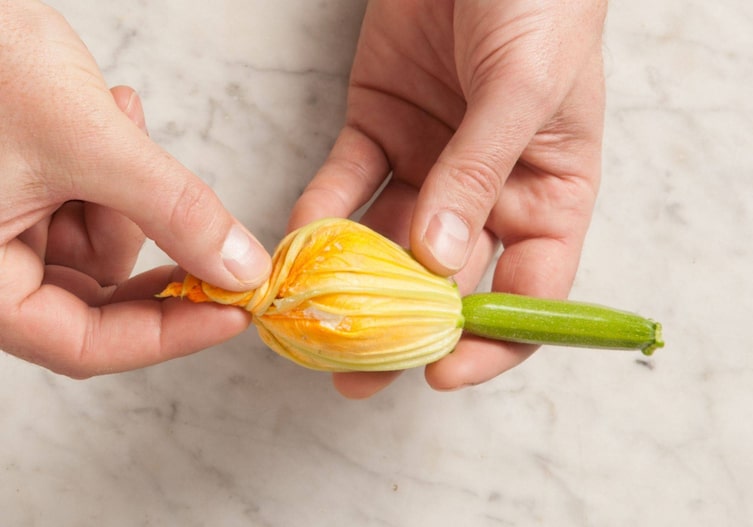 Gefüllte Zucchiniblüten, Blütenspitzen