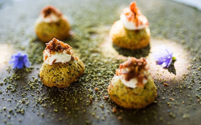 Ziegenfrischkäse, Blüte, Kürbissen, Kürbis