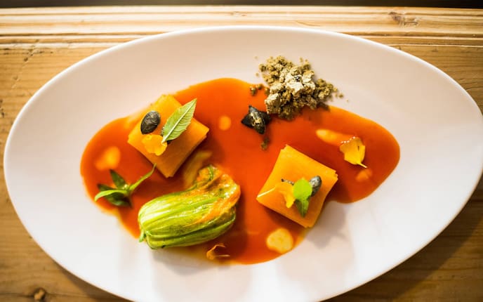 Zitronenverbene, Kürbis, Kürbiskerne, Safran, Sud, Kürbisblüte, Teller