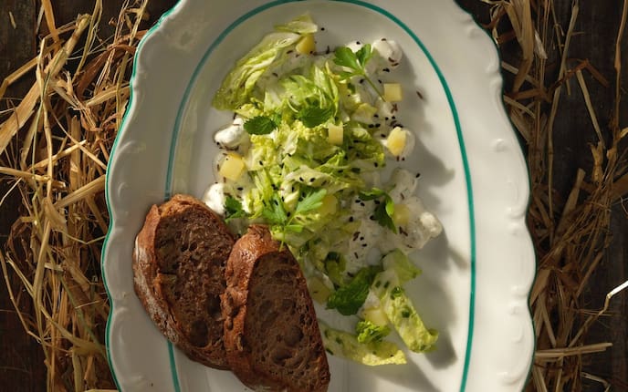 Chinakohl, Kümmelrahm, Erdäpfel, Kümmel, Brot, Salat, Vorspeise, Servus Rezept