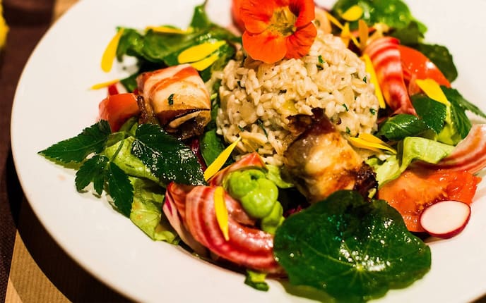 Blume, Reis, Speck, Ziegenkäse, Blattsalat, Radieschen, Majoran