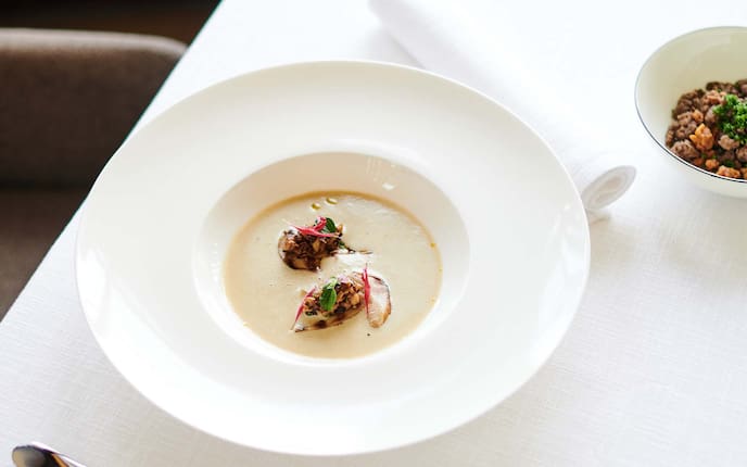 Erdäpfelsamtsuppe mit Eierschwammerln - 0:50 h - Rezept - Servus