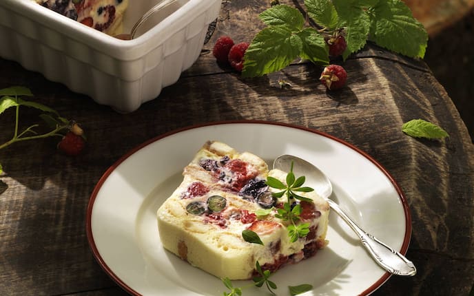 Waldbeerterrine (Bild: Eisenhut & Mayer)