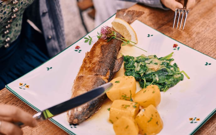 Saibling, Rezept, Podcast, Kochen