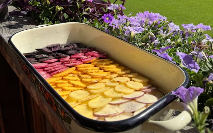 Ein buntes Eachtlingsgratin in der Rein.