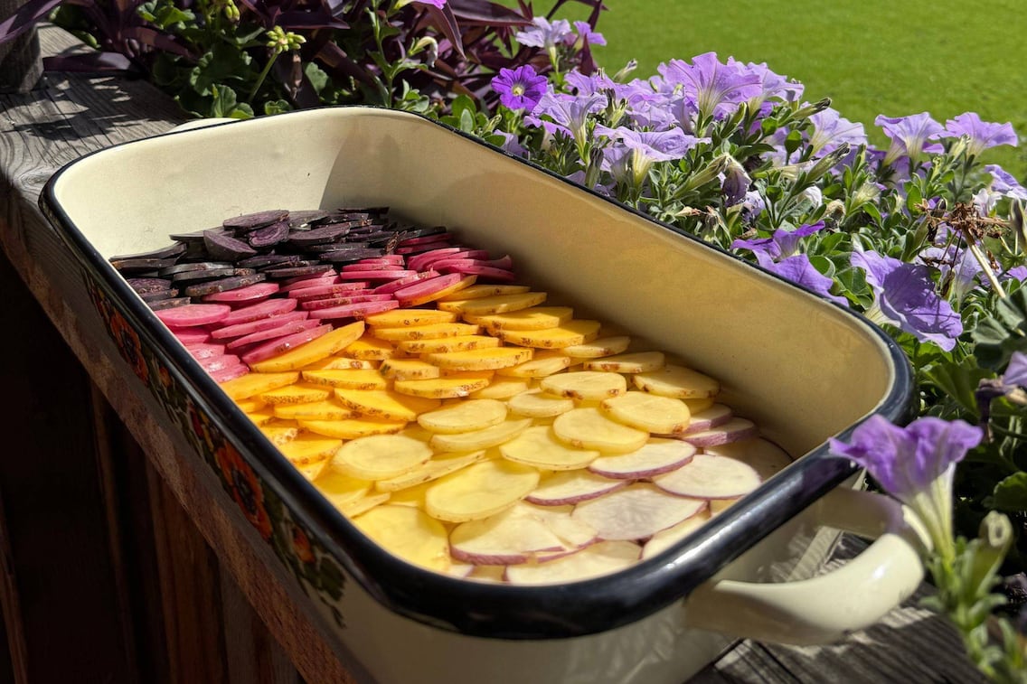 Ein buntes Eachtlingsgratin in der Rein.