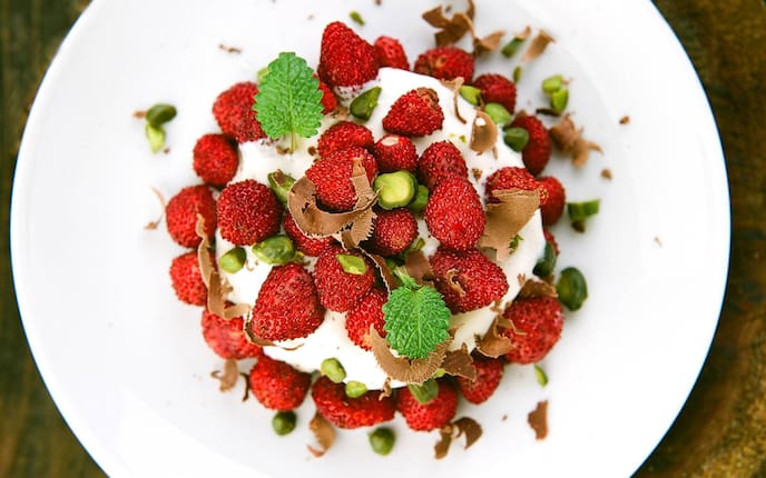 Waldbeeren, Pistazien, Creme, Schokolade, Nachspeise, Servus Rezept